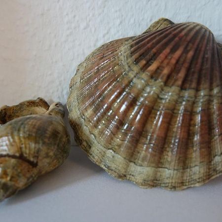 Ferienwohnung Kiel Esterno foto