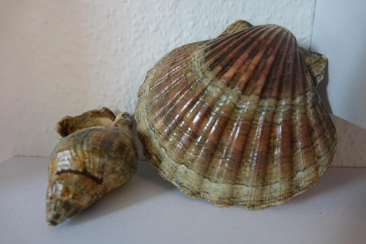 Ferienwohnung Kiel Esterno foto